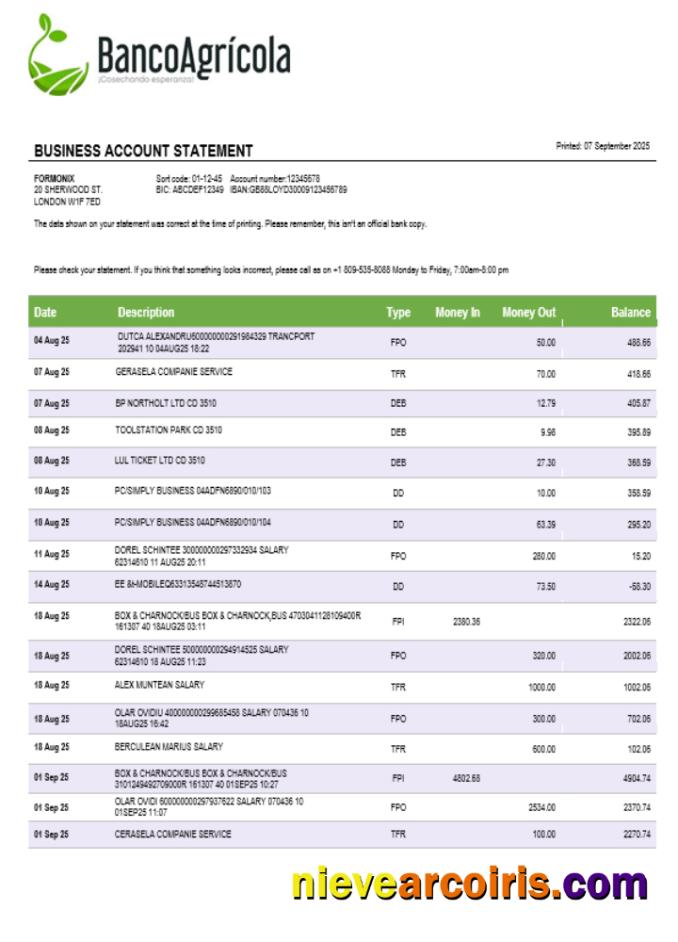 Banco Agricola business account statement